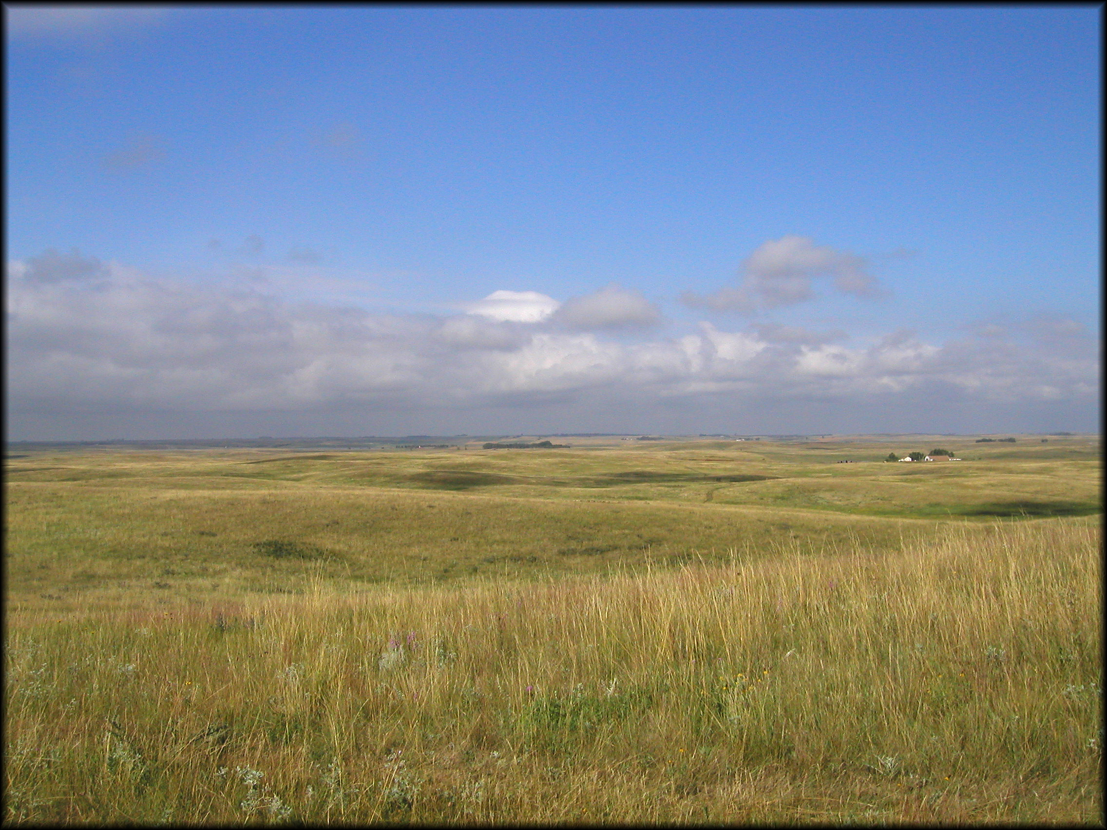 Shortgrass Prairie