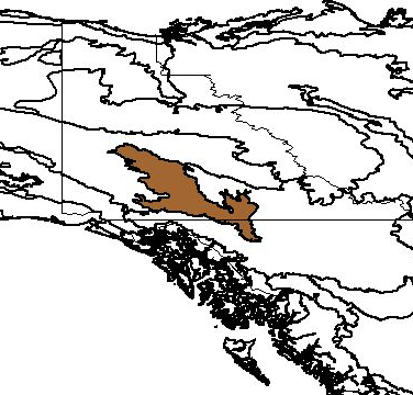 White Horse Yukon Map